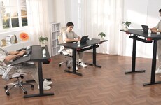Dual-Zone Standing Desks
