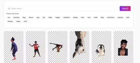 Meme Video Creation Tools