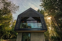 Forest Studio Vibrant Workspaces Image 3