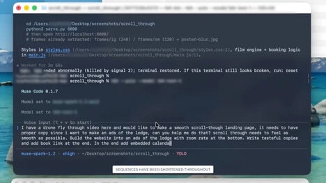 Terminal Coding Agents