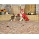 Humorous Pet-Centric Halloween Lines Image 1