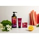 Collaboration Hotel Cosmetic Ranges Image 1