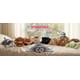 Weighted Heated Stuffed Animals Image 1