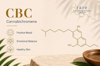 CBC-Focused Educational Campaigns Image 1