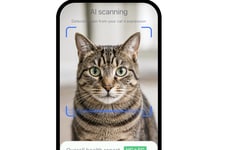 AI Cat Health Tools