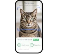 AI Cat Health Tools Image 1