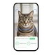 AI Cat Health Tools Image 1