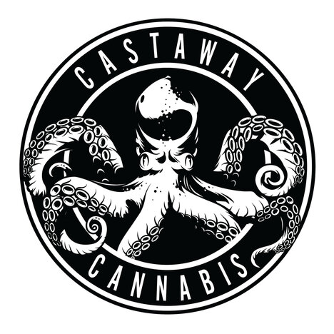Cannabis Brand-Inspired Beach Parties