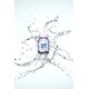 Multidimensional Longevity Supplements Image 1