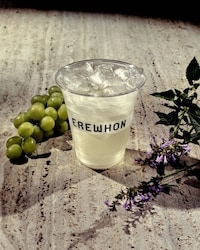 Clarifying Herbal Skincare Tonics Image 1