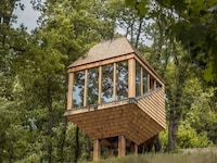Forest Canopy Retreats Image 2