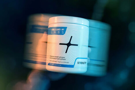 Muscle Performance Supplements