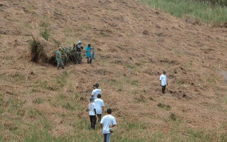 Landscape Restoration Projects