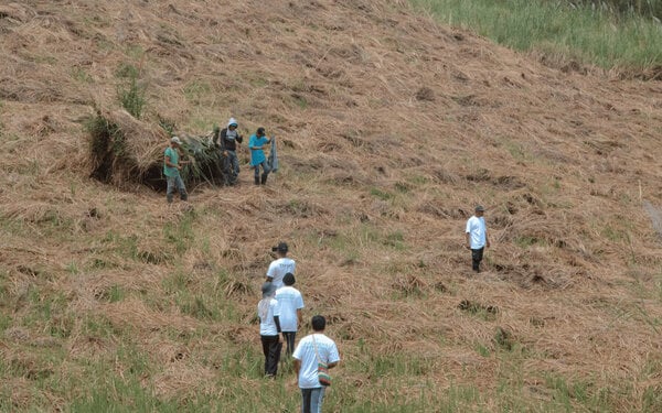 Landscape Restoration Projects