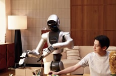 Humanoid Service Robots