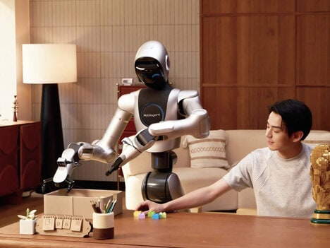 Humanoid Service Robots