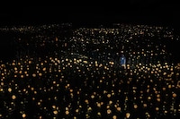 Interactive Sunflower Installations Image 1