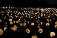 Interactive Sunflower Installations Image 3