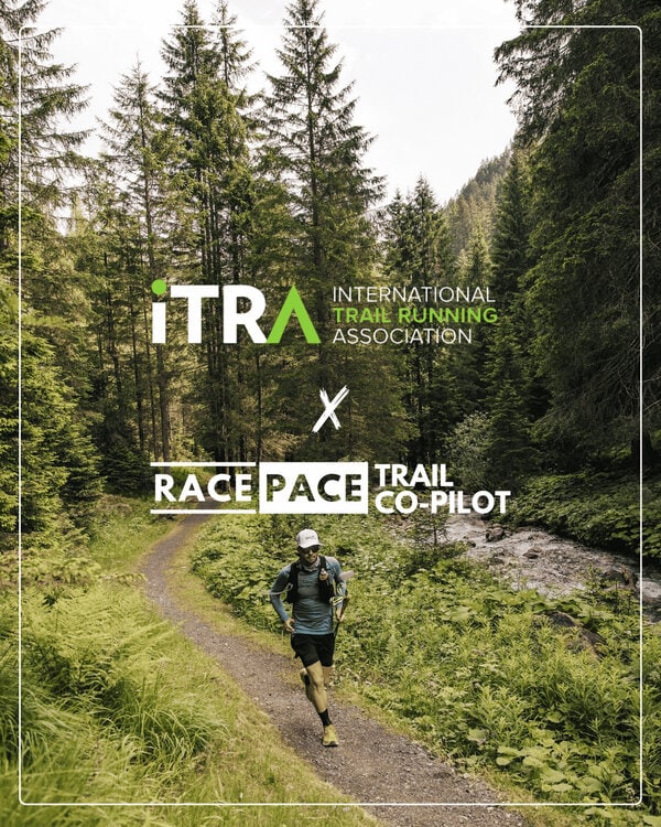 Personalized Race-Day Strategy Tools