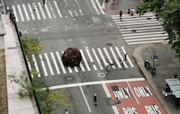 Giant Hairball Stunts Image 2