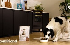 Protein-Forward Dog Food Recipes