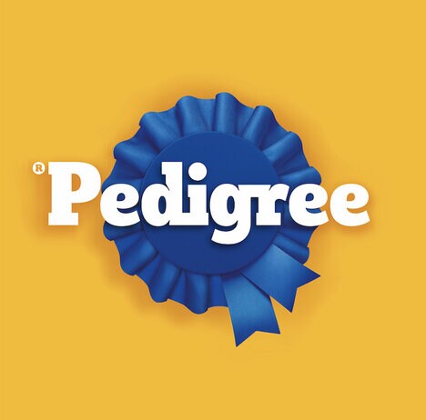 Vitamin-Enhanced Dry Dog Foods