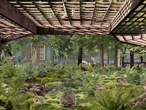 Campus Habitat Masterplans