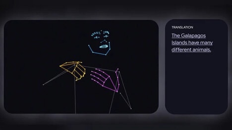 Sign Language AI Systems