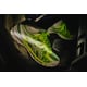 Gradient Running Sneakers Image 1