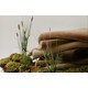 Earth Toned Rug Collections Image 1