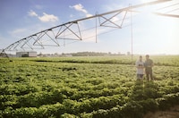 Sustainability-Focused Brand Progress Reports