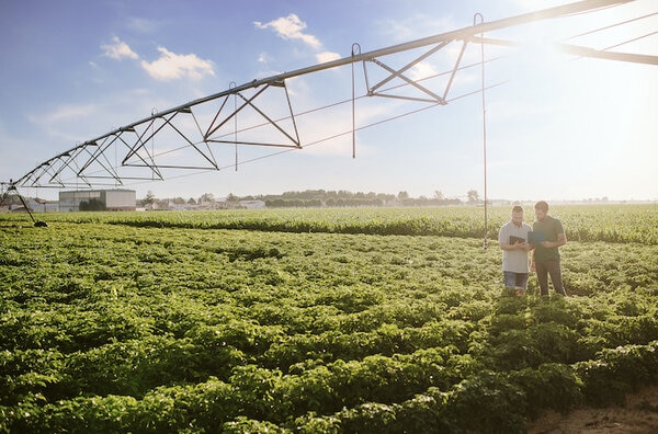 Sustainability-Focused Brand Progress Reports