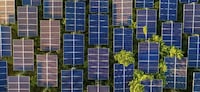Sustainability-Focused Brand Progress Reports Image 2