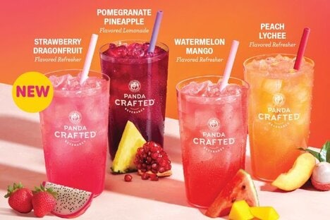 Vibrant Seasonal Fruit Drinks