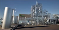 Renewable Aromatic Oil Plants Image 1