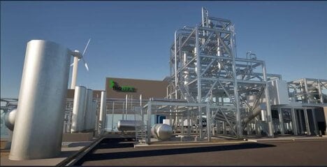 Renewable Aromatic Oil Plants