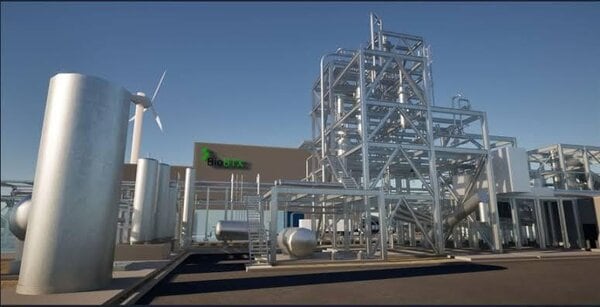 Renewable Aromatic Oil Plants