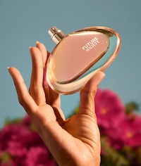 Warm Sunshine Perfumes