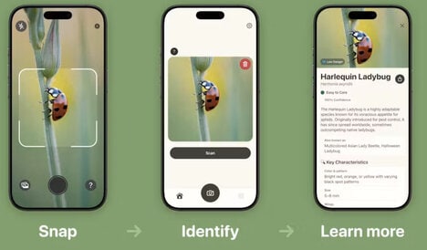 AI Insect Identifiers