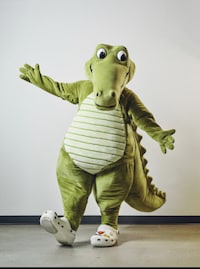 Footwear-Branded Anthropomorphic Crocodile Mascots Image 1