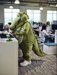 Footwear-Branded Anthropomorphic Crocodile Mascots Image 2