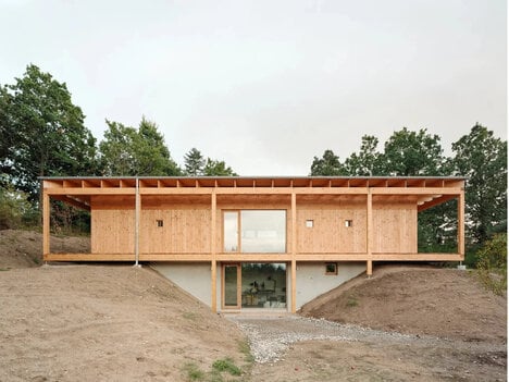 Timber Atrium Houses