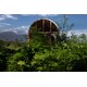 Artful Vaulted Micro Houses Image 3