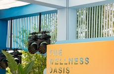 Immersive One-Day Wellness Programs
