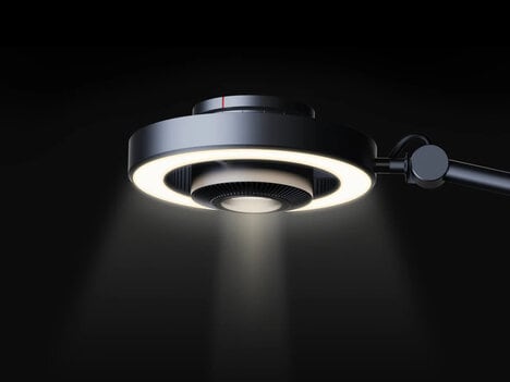 Dual-Source Desk Lamps