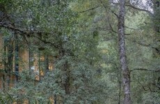 Mass Timber Retreats
