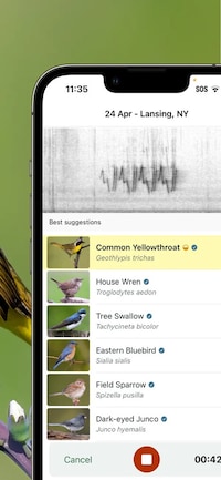 Bird Identification Apps Image 2