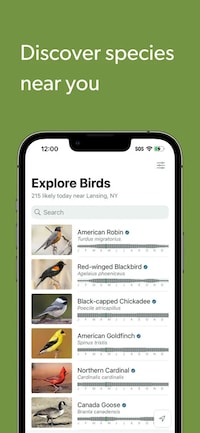 Bird Identification Apps Image 3