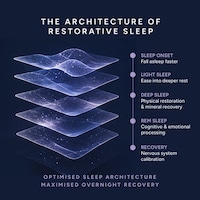 Layered Sleep Support Gummies Image 2