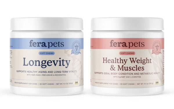 Cellular Health Longevity Chews
